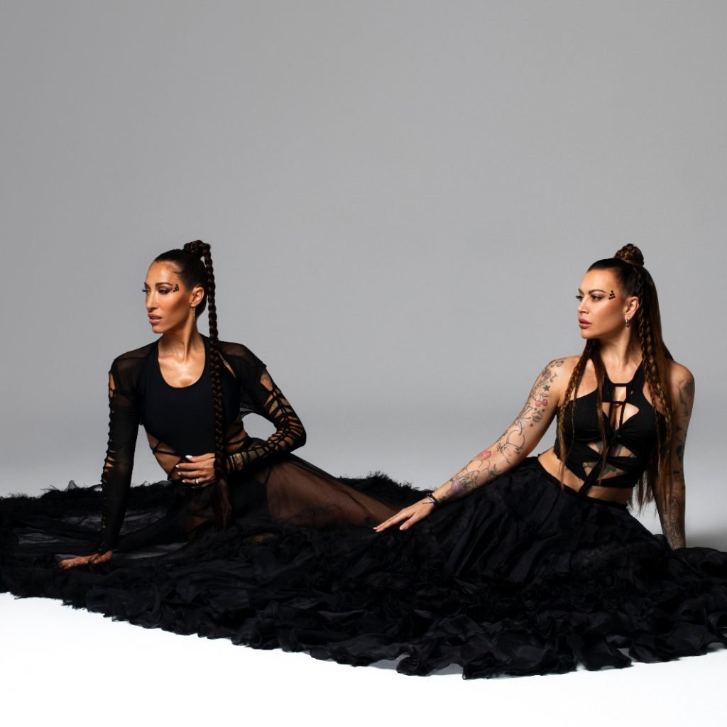 NACE UN NUEVO PROYECTO ELECTRÓNICO: FREYJA