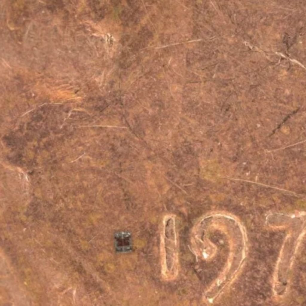 Más pequeños que un grano de sal y con “cerebro” propio. Así son los robots microscópicos que ya toman decisiones solos