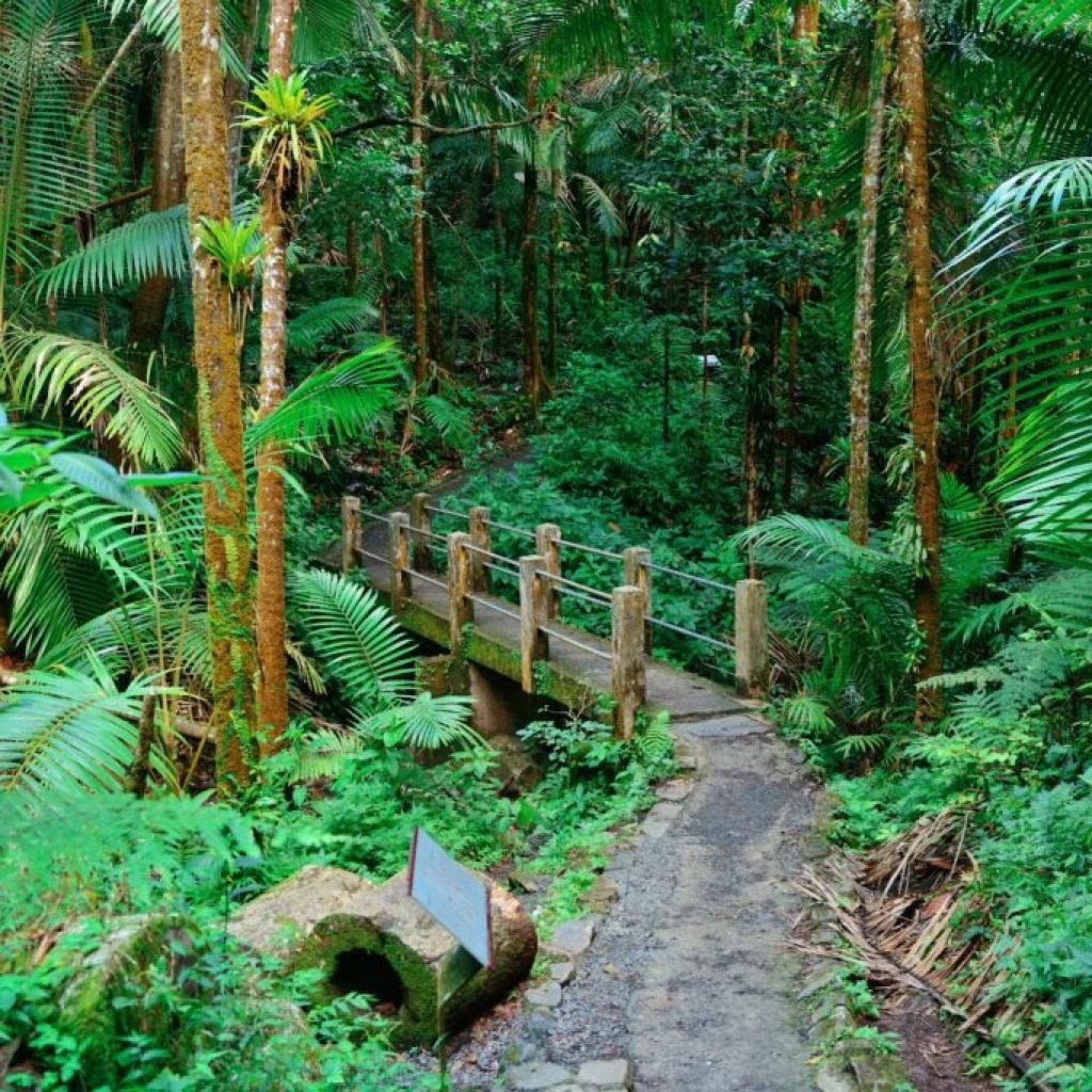 Descubre el cartel completo de The 5th Element Festival