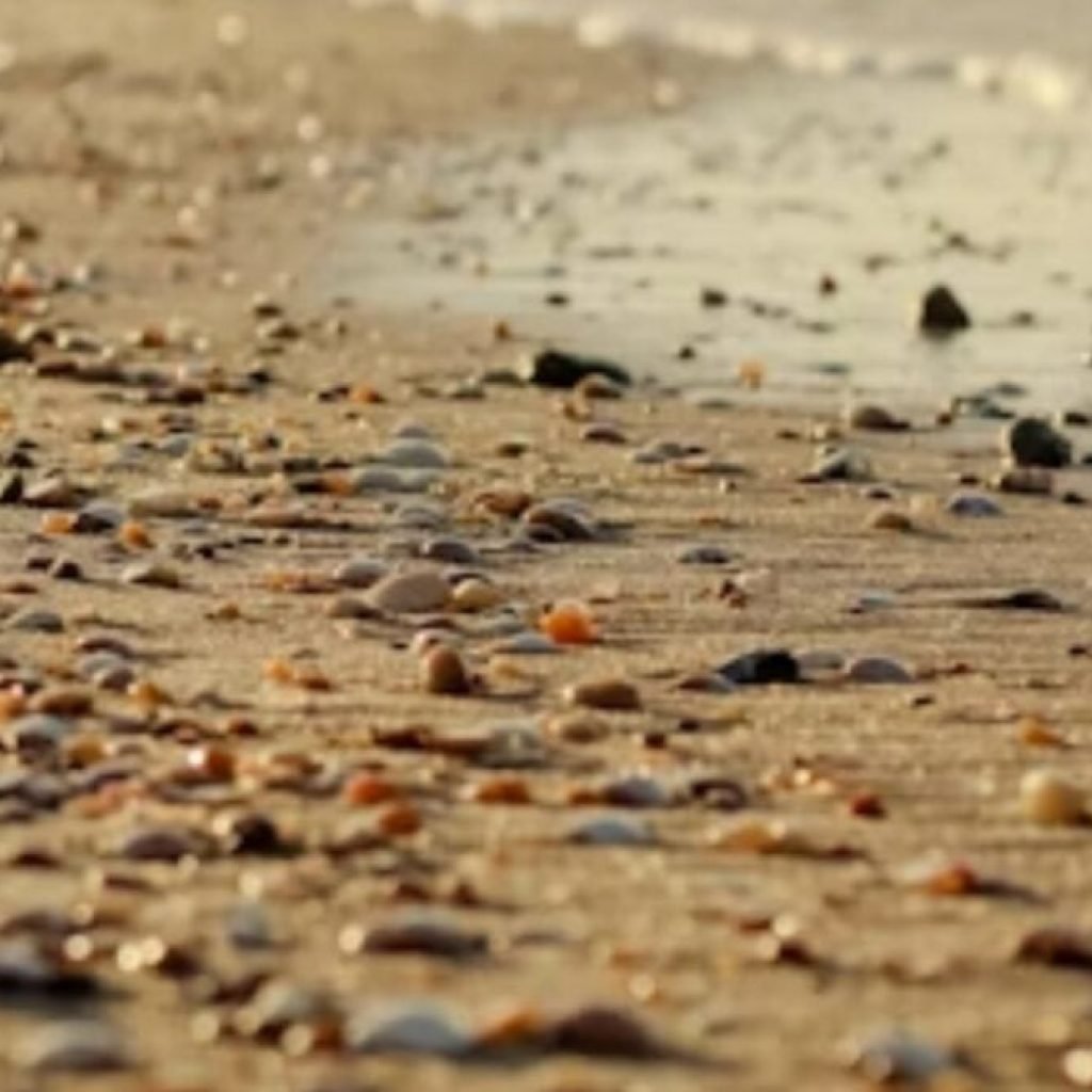 El material que sostiene nuestras ciudades se ha convertido en un problema global. Y la solución acaba de aparecer en el lugar más inesperado: la orilla del mar