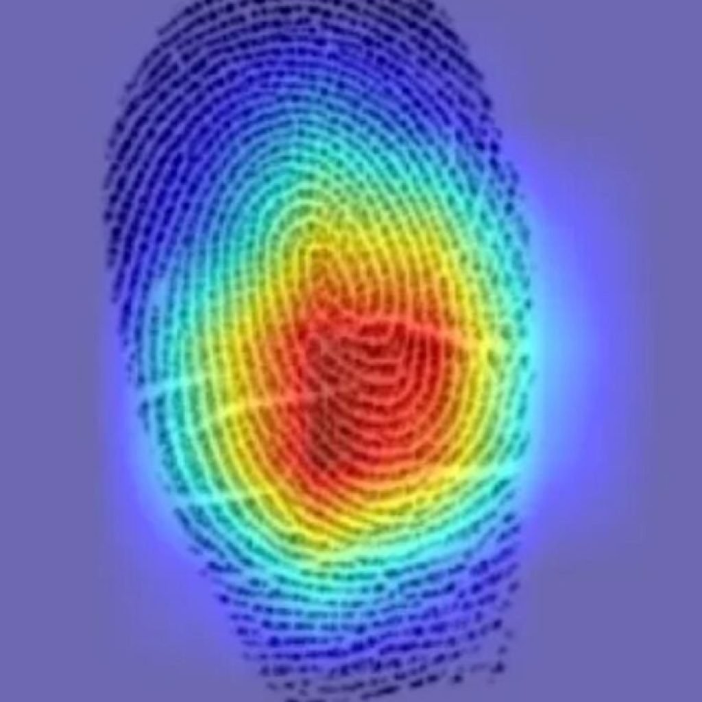 Atacantes intentaron “clonar” Gemini con más de 100.000 preguntas. Google advierte que los grandes modelos de IA ya son un objetivo industrial