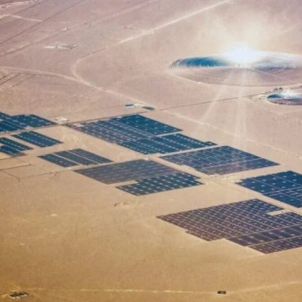 Lo que debía ser una planta solar terminó siendo un experimento ecológico accidental. China cubrió un desierto con paneles y, sin querer, creó las condiciones para que surgiera vida
