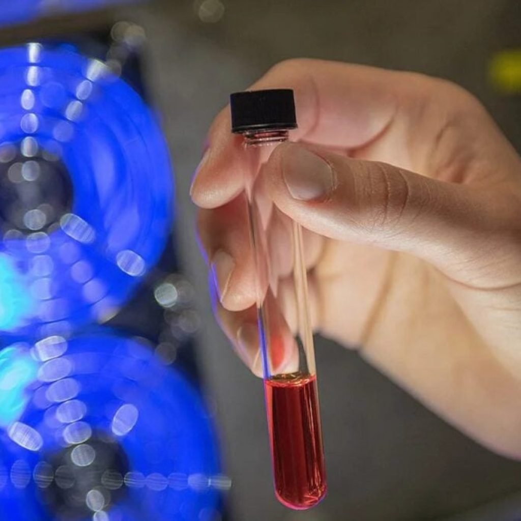 Alemania presenta una batería solar molecular que guarda la energía del sol durante días. El avance permite producir hidrógeno bajo demanda sin depender de la luz ni de la red eléctrica